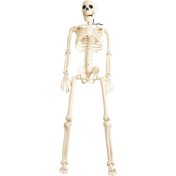 Halloween Large Hanging Skeleton Large