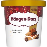 Haagen-Dazs Ice Cream Caramel Waffle
