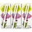 H2Coco Kids Wild Berry Coconut Water 3x200ml