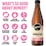 Remedy Kombucha Raspberry Lemonade 330ml