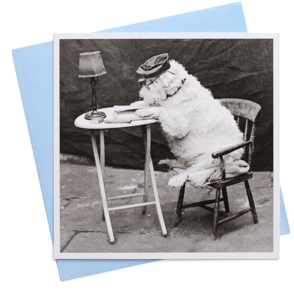 Camden Graphics Happy Birthday Card Dog Each