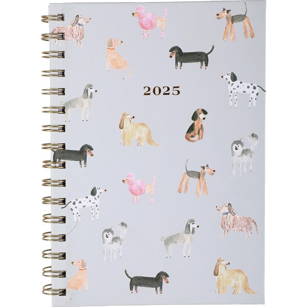 2025 Harcover Spiral Diary Assorted each