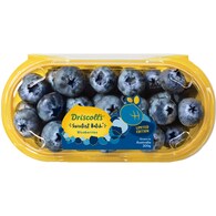 Blueberry Sweetest Batch® Premium Blueberries Punnet