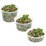 Woolworths Mixed Grain Tabbouleh Per Kg