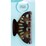 Oscar Orsen Claw Grip Size XXL each
