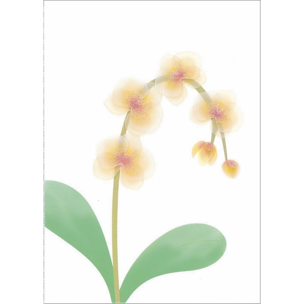 Papyrus Sympathy Card Flower Each