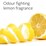 Ecostore Dish Soap Bar Lemon 125g