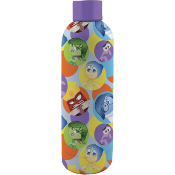 Inside Out Drink Bottle 700ml Each