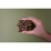 Bennetto Toasted Hazelnut Dark Chocolate Block 80g