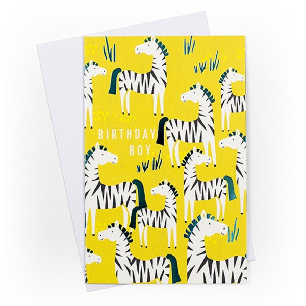 John Sands Happy Birthday Card Boy Zebra Each