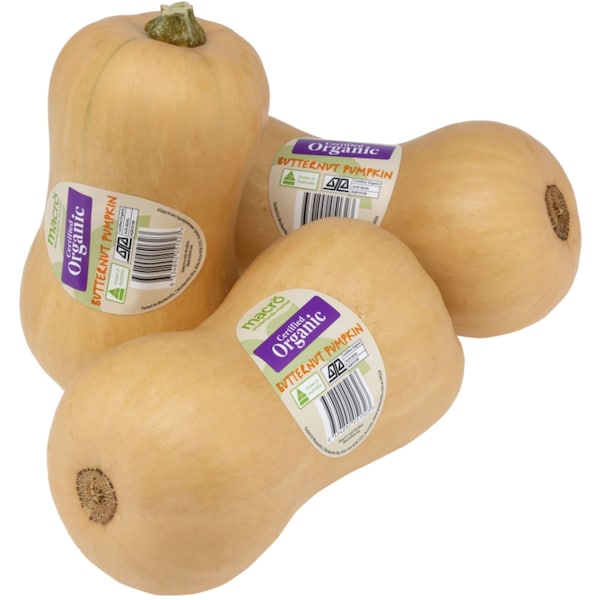 Organic Pumpkin Butternut each