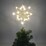 Mirabella Christmas 30cm Light Up Star Tree Topper Gold each