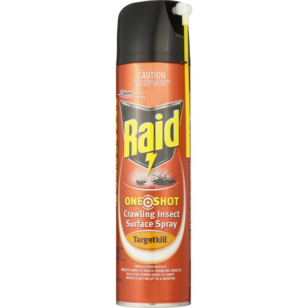 Raid Insect Control One Shot Target Kill 320g