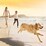 Natures Goodness Grain Free Mature Chilled Fresh Dog Food Roll Turkey 2.15kg