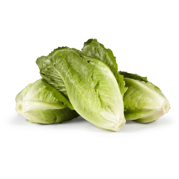Woolworths Sweet Crunch Lettuce Each