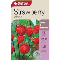 Yates Alpine Strawberry Seeds