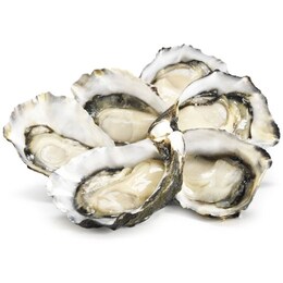 Pacific Fresh 1 ea