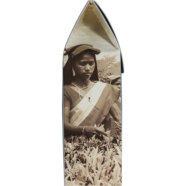 Woolworths Gold Pyramid Tea Bags English Breakfast 16pk