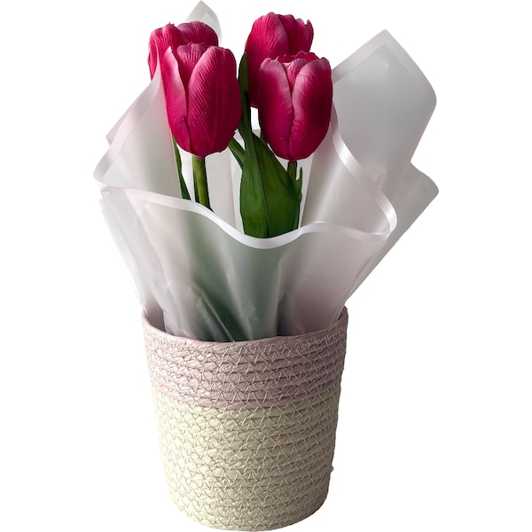 Mother's Day Potted Tulip Flower each