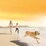 Natures Goodness Grain Free Adult Wet Dog Food Tender Lamb & Rosemary & Veges 400g
