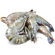Thawed Extra Large Raw Tiger Prawns