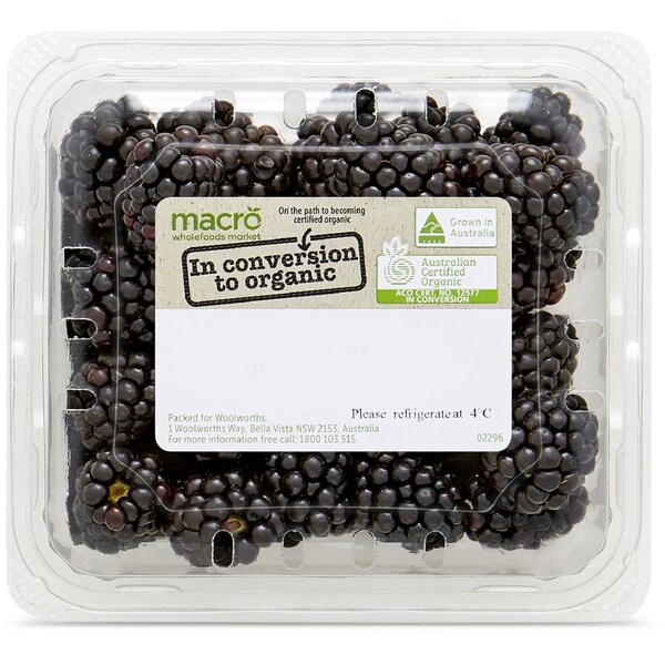 Organic In Conversion Berry Blackberry 125g