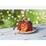 Woolworths Salted Caramel Pudding 100g