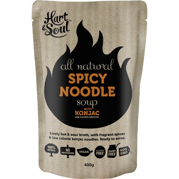 Hart & Soul Spicy Noodle Soup Pouch 400g