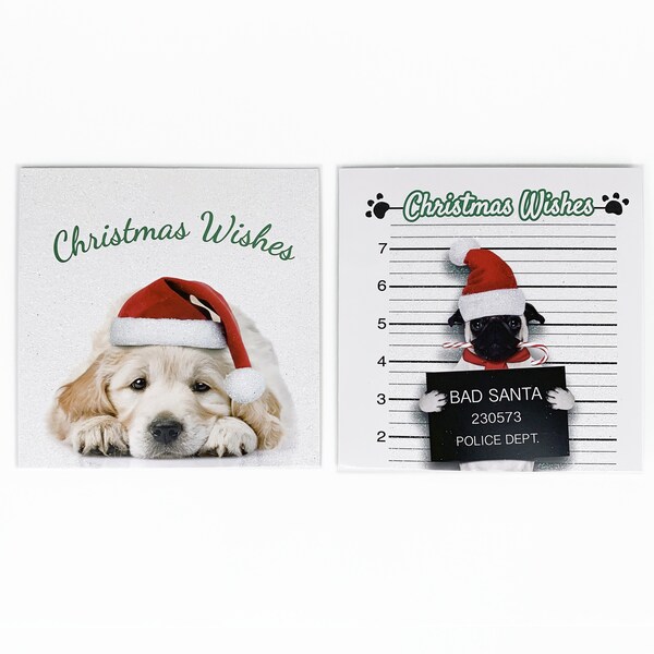Christmas Square Cards Pets  12 Pack
