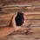 Jack The Barber Hair & Beard Brush each
