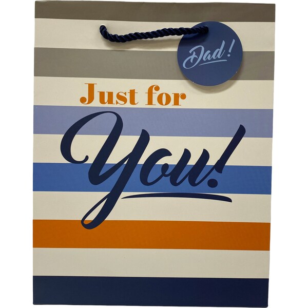 Father's Day Gift Bag Medium Stripes each