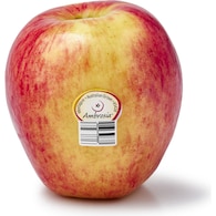 Ambrosia Apple