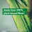 Dettol Disinfectant Wipes Extra Large 300 pack