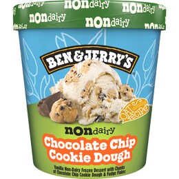 Ben & Jerry's Dairy Free Chocolate Chip Cookie Dough Tub 458mL – Woolworths
