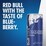Red Bull Energy Drink The Summer Edition Blueberry Flavour Can 250mL