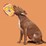 Bark Kangaroo Tossing Dog Toy each