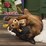 Bark Splootolph Dog Toy each