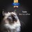 Fussy Cat Luxe Tuna Flakes In Gravy Wet Cat Food 70g x 12 pack