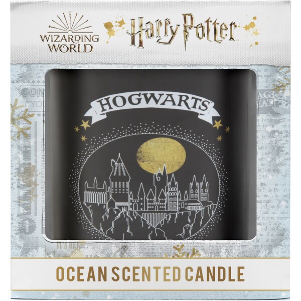 Harry Potter Candle Assorted Each