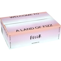 Fellr Seltzer Watermelon Can Case