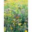 Yates Wild Flowers Of The World Seeds each