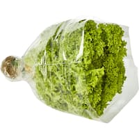 Fresh Vegetable Standard