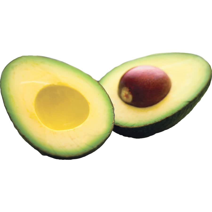 Fresh Fruit Avocados Hass