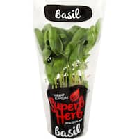 Fresh Herb Standard