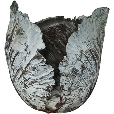 fresh vegetable cabbage red whole