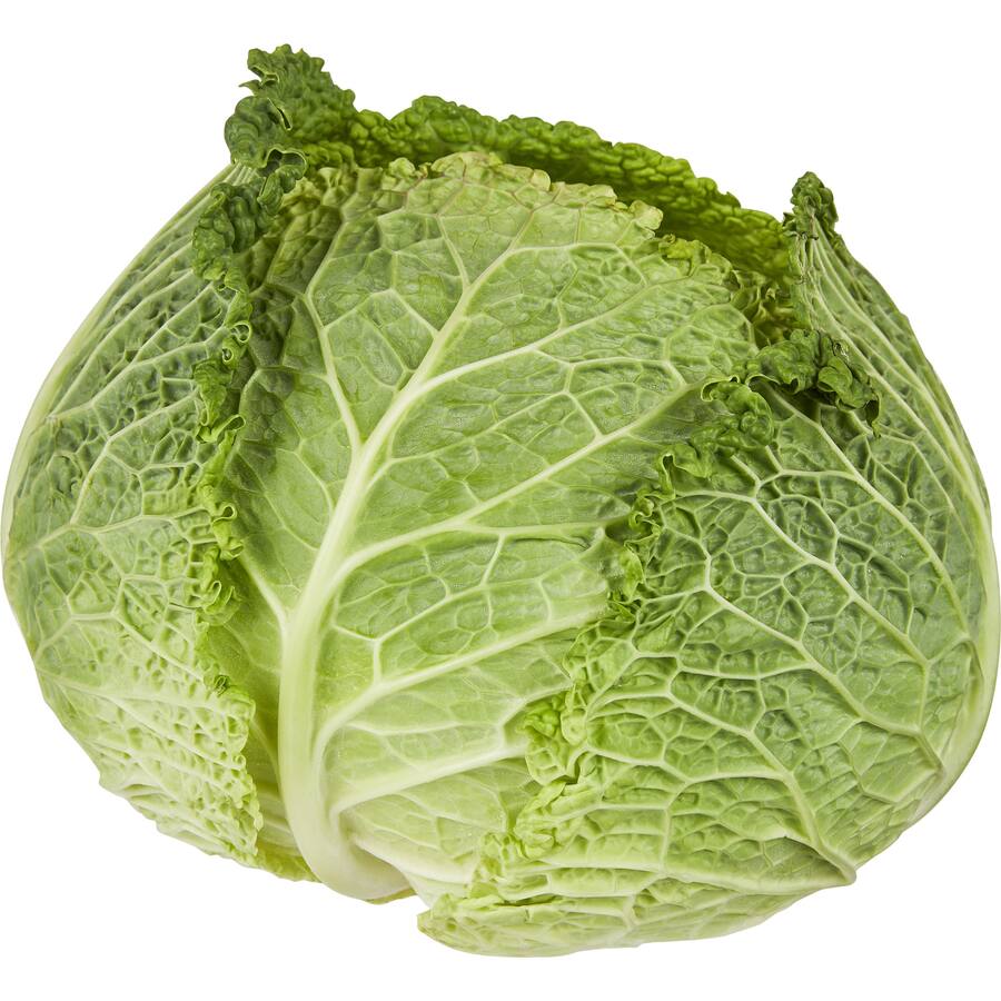Fresh Vegetable Cabbage Savoy Whole
