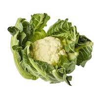 Fresh Vegetable Standard