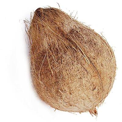fresh fruit coconut imported