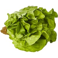 Fresh Vegetable Standard