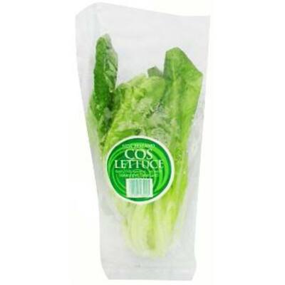 fresh vegetable lettuce cos